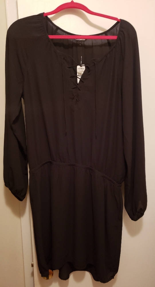 Express Blouson Dress